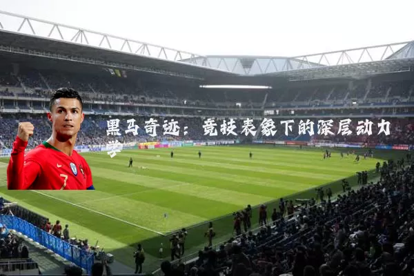黑马奇迹:竞技表象下的深层动力学